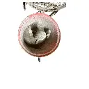 14.webp